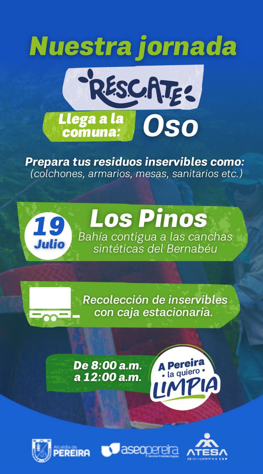 En este momento estás viendo LOS PINOS