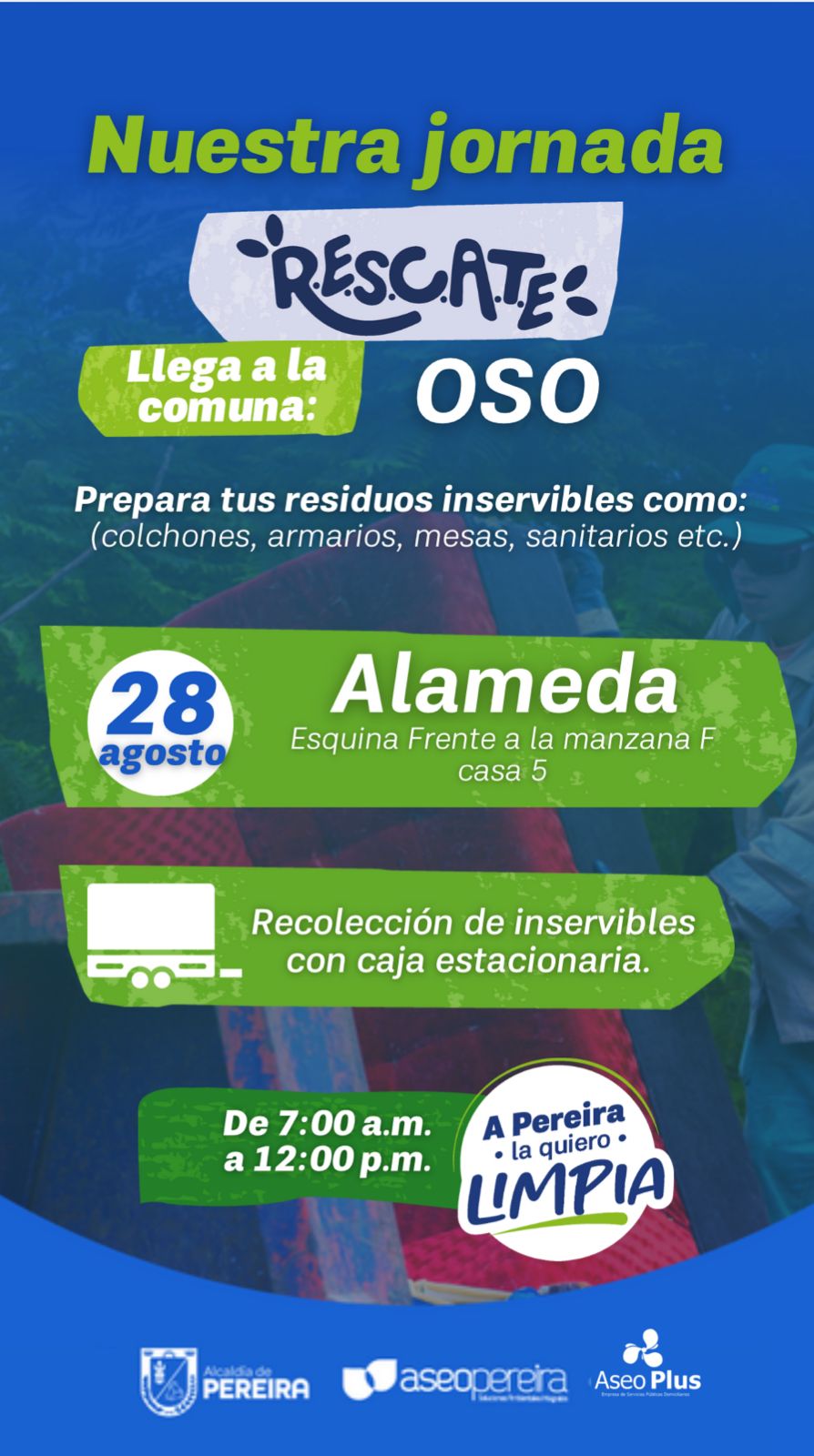 En este momento estás viendo ALAMEDA